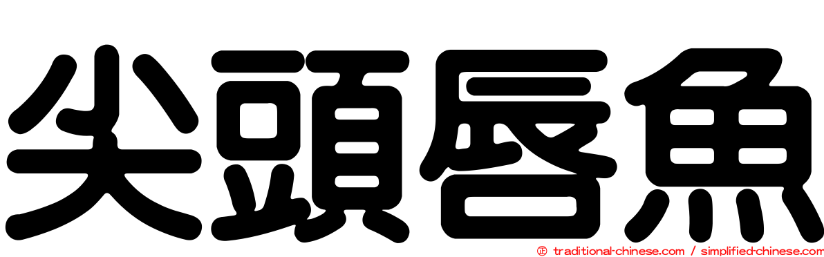 尖頭唇魚