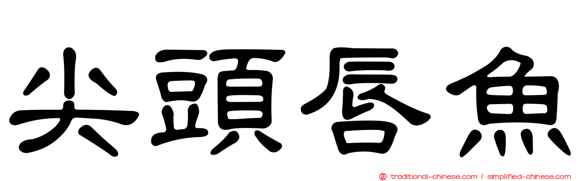 尖頭唇魚