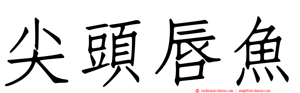 尖頭唇魚