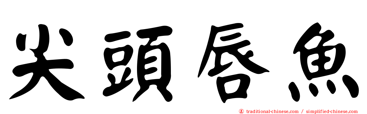 尖頭唇魚