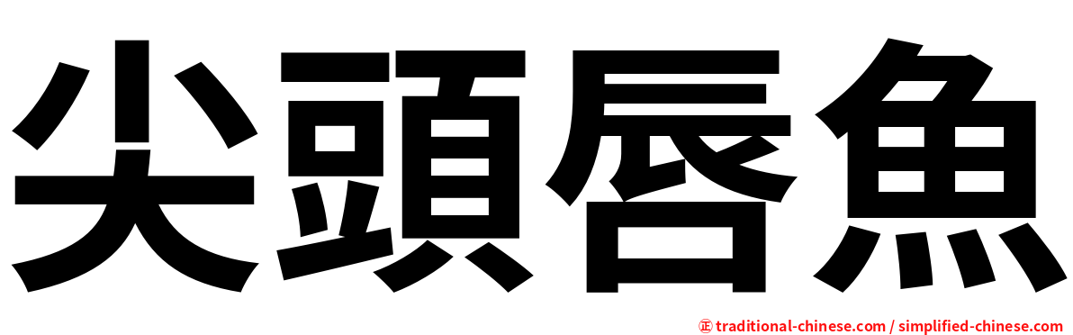 尖頭唇魚
