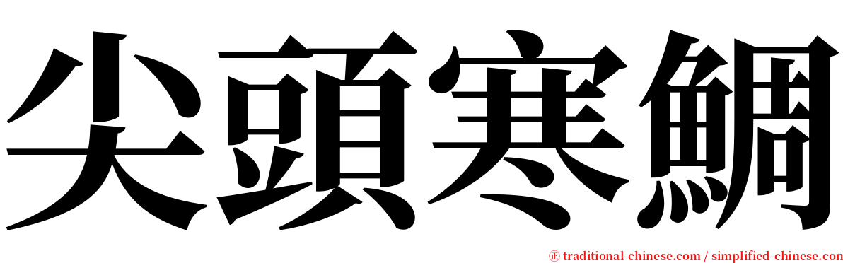 尖頭寒鯛 serif font
