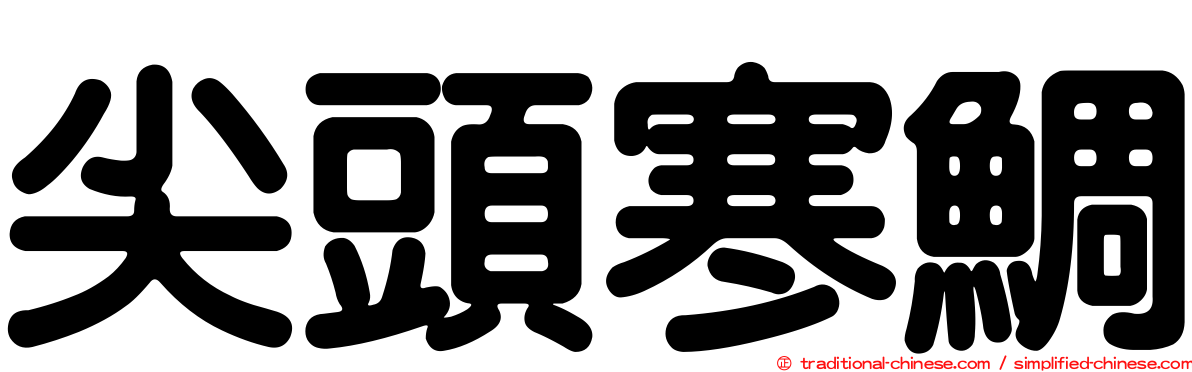 尖頭寒鯛