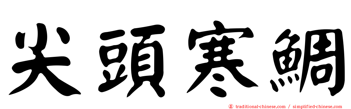 尖頭寒鯛