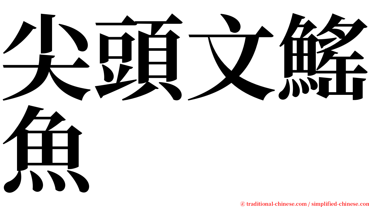 尖頭文鰩魚 serif font