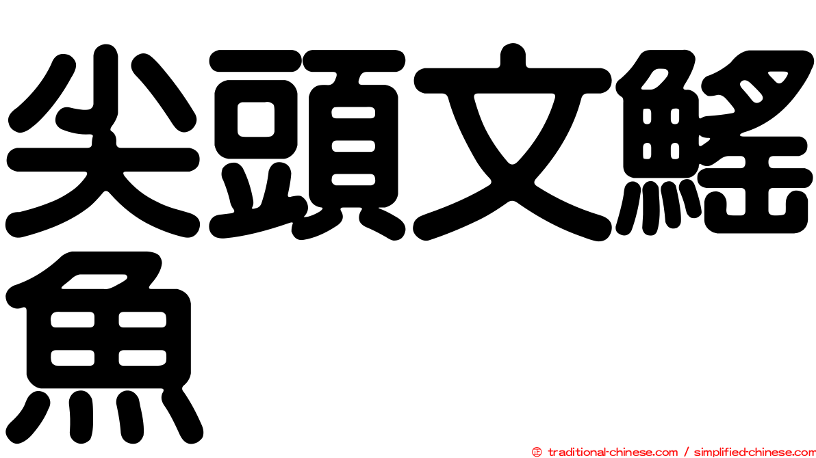 尖頭文鰩魚
