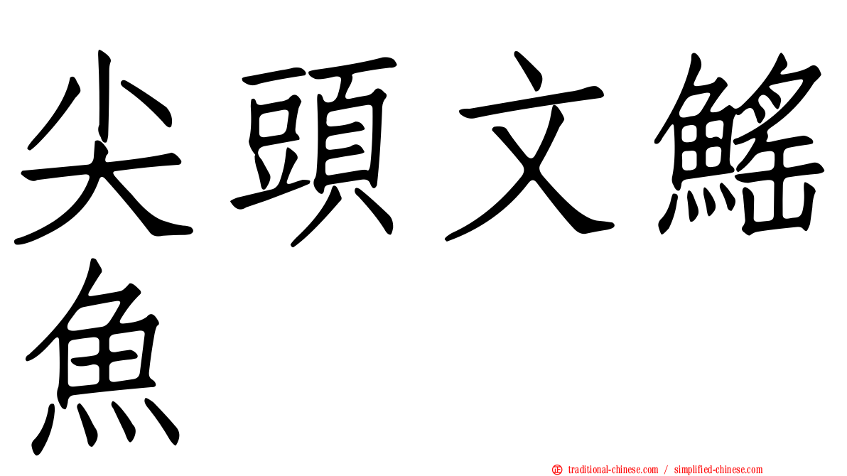 尖頭文鰩魚