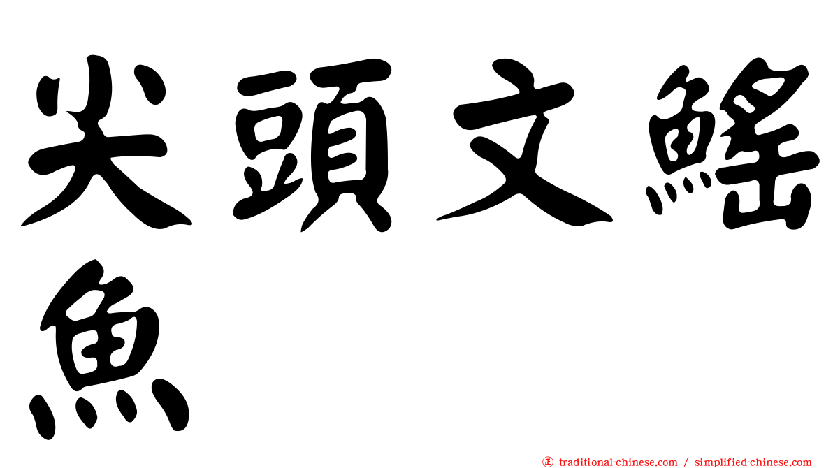 尖頭文鰩魚