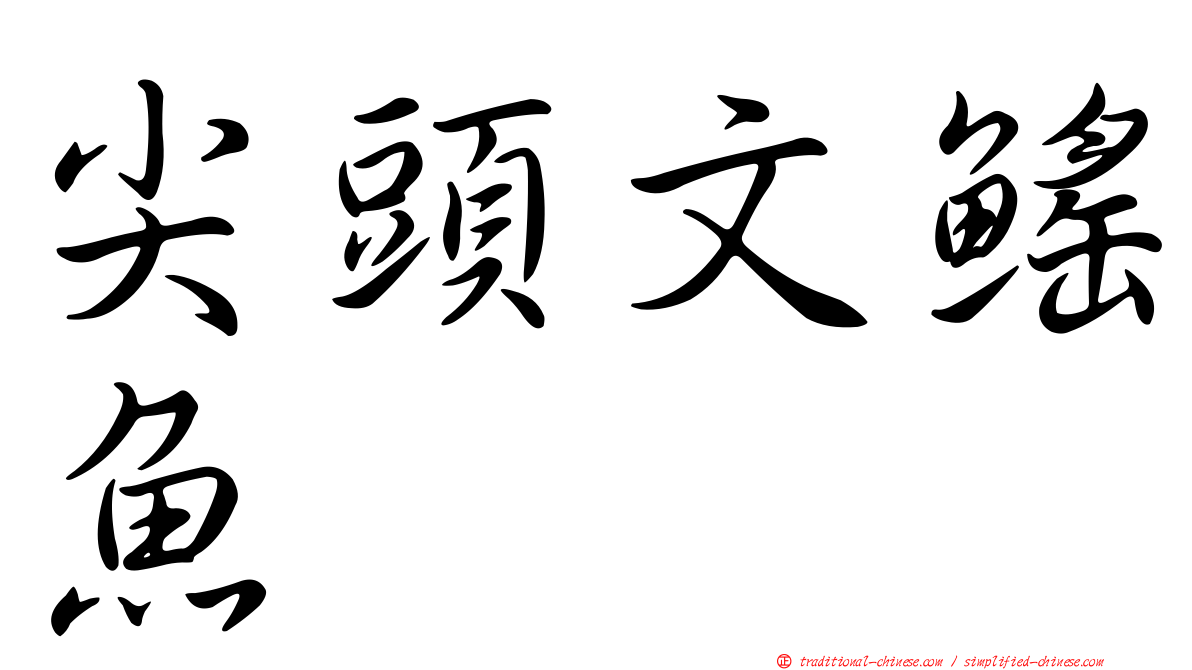 尖頭文鰩魚