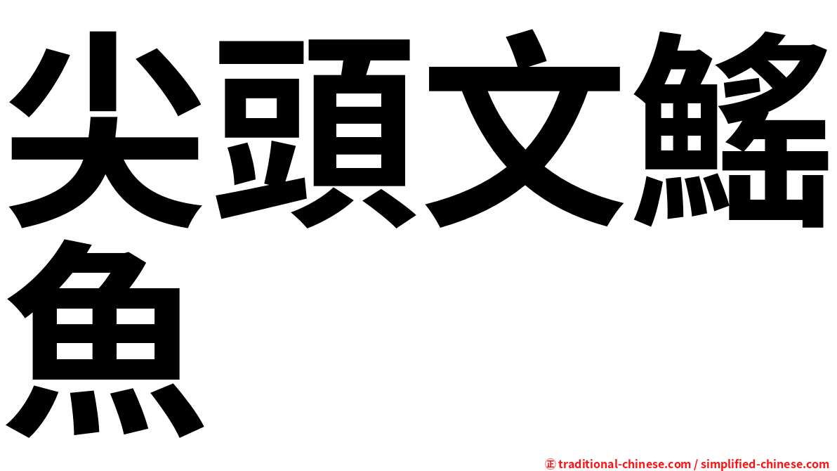尖頭文鰩魚