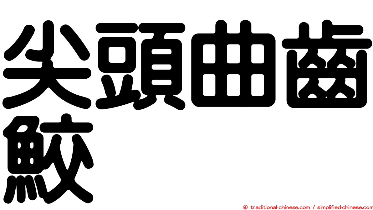 尖頭曲齒鮫