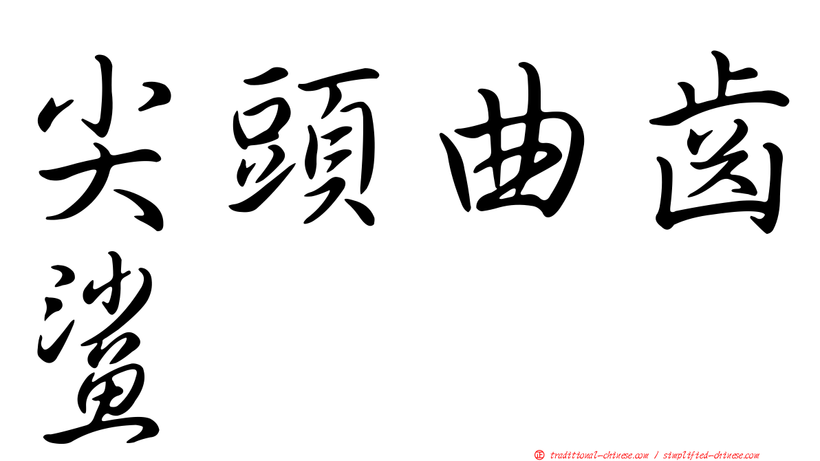 尖頭曲齒鯊
