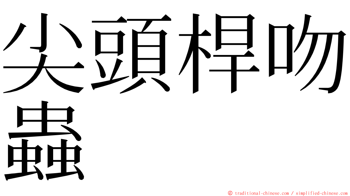 尖頭桿吻蟲 ming font