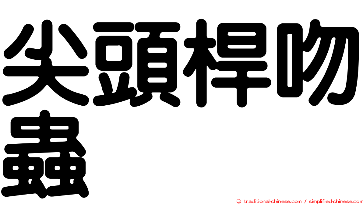 尖頭桿吻蟲