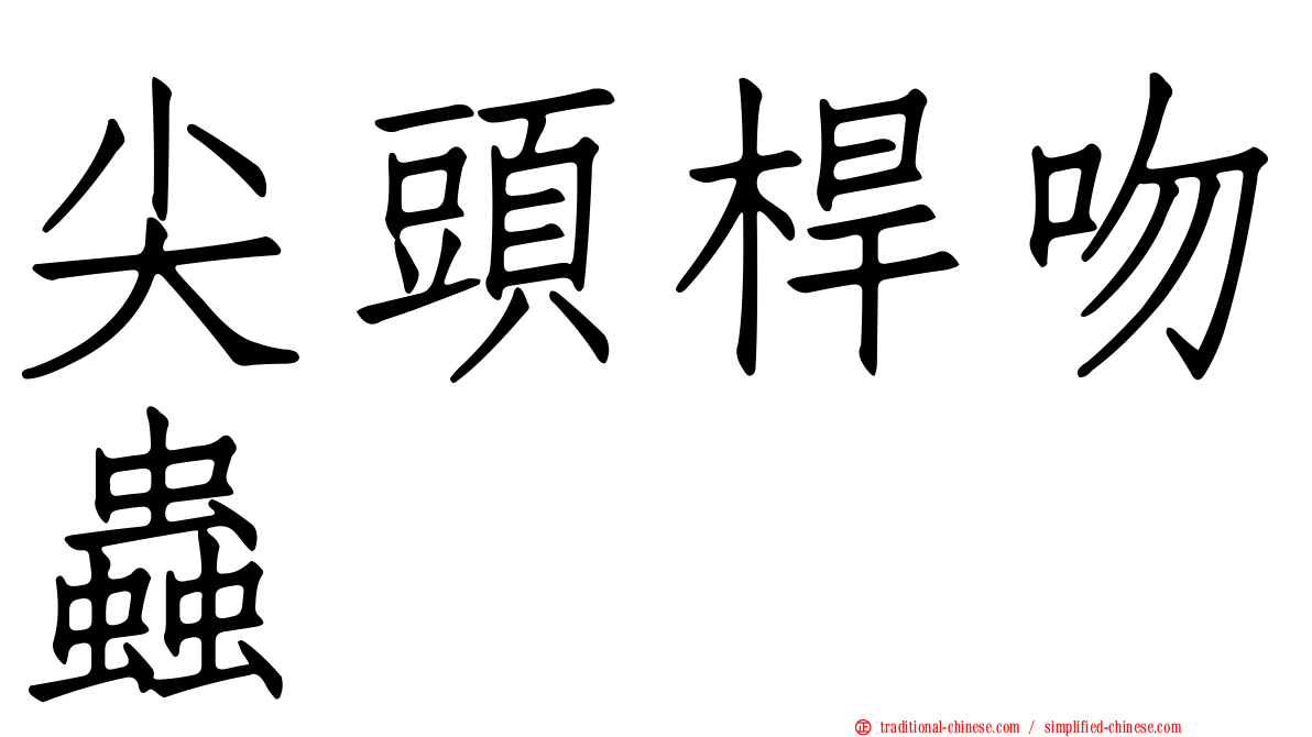 尖頭桿吻蟲