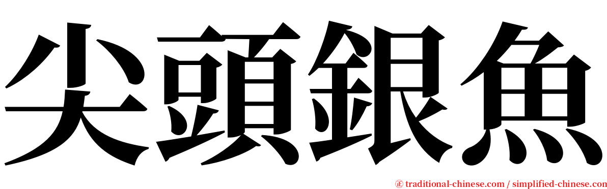 尖頭銀魚 serif font