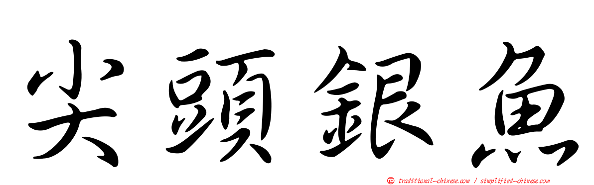 尖頭銀魚