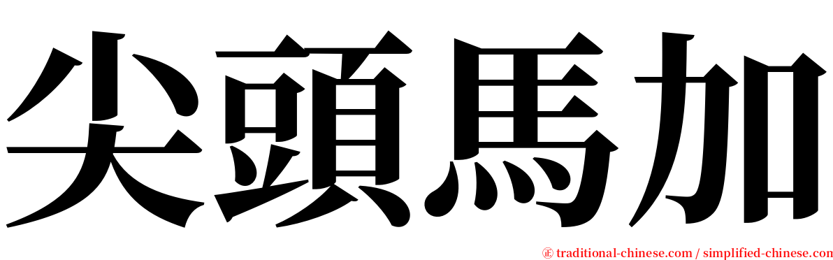 尖頭馬加 serif font
