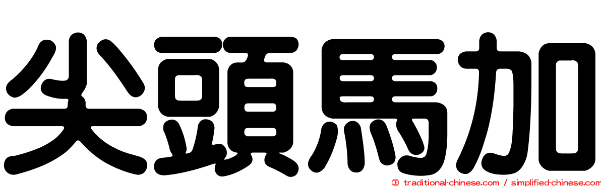 尖頭馬加