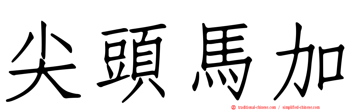 尖頭馬加