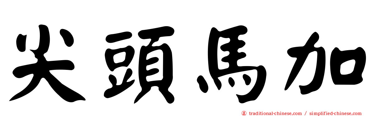 尖頭馬加