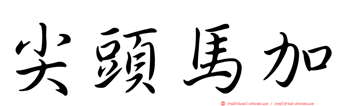尖頭馬加