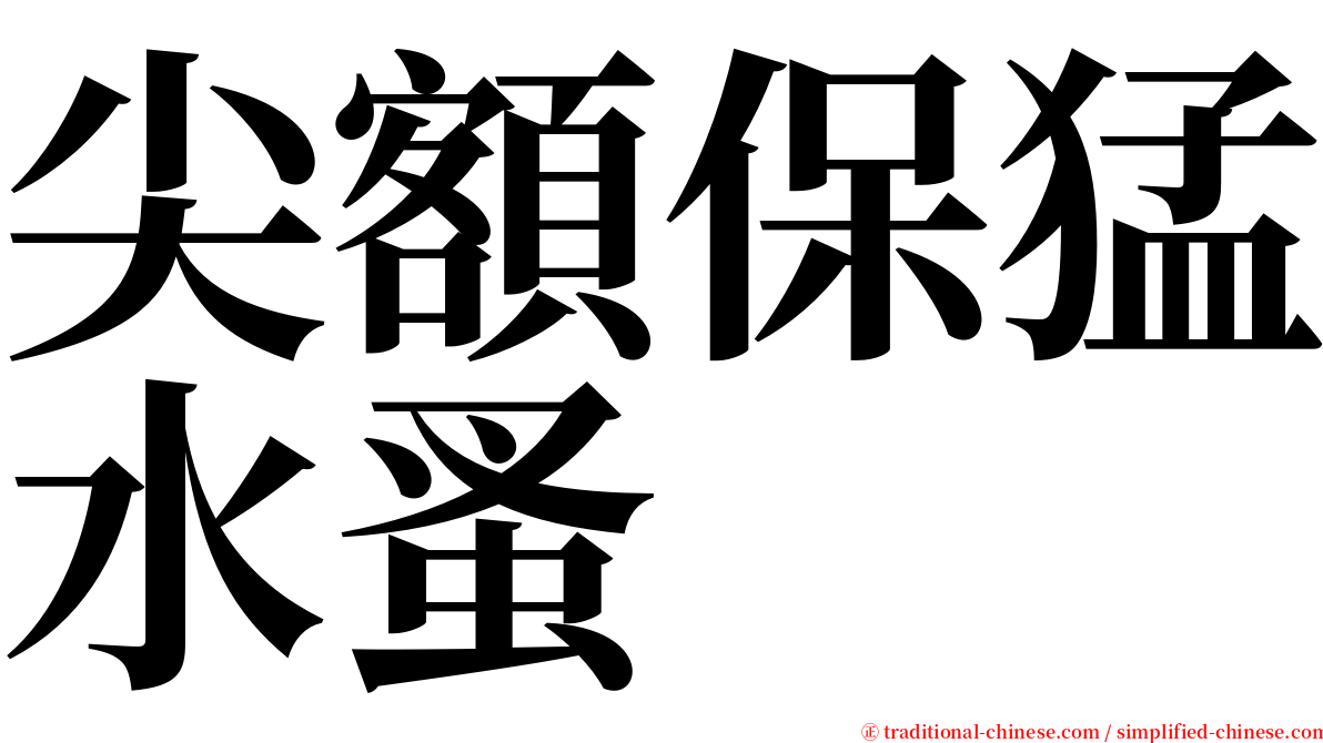 尖額保猛水蚤 serif font