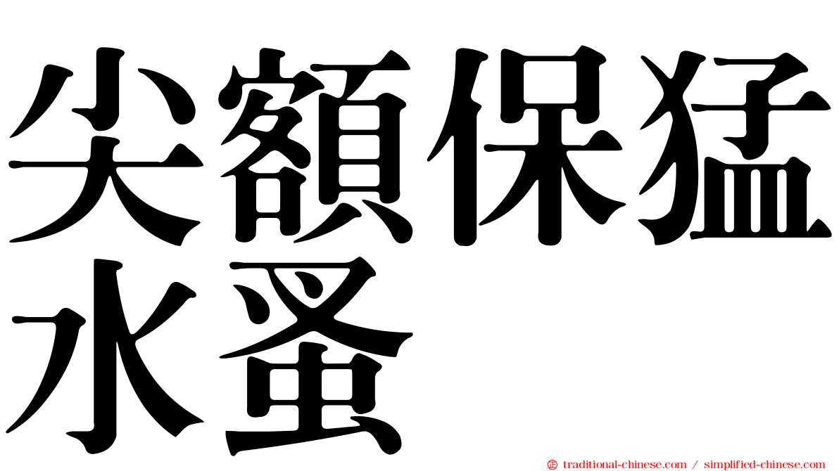 尖額保猛水蚤