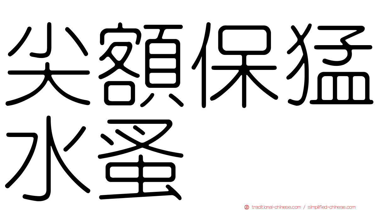 尖額保猛水蚤