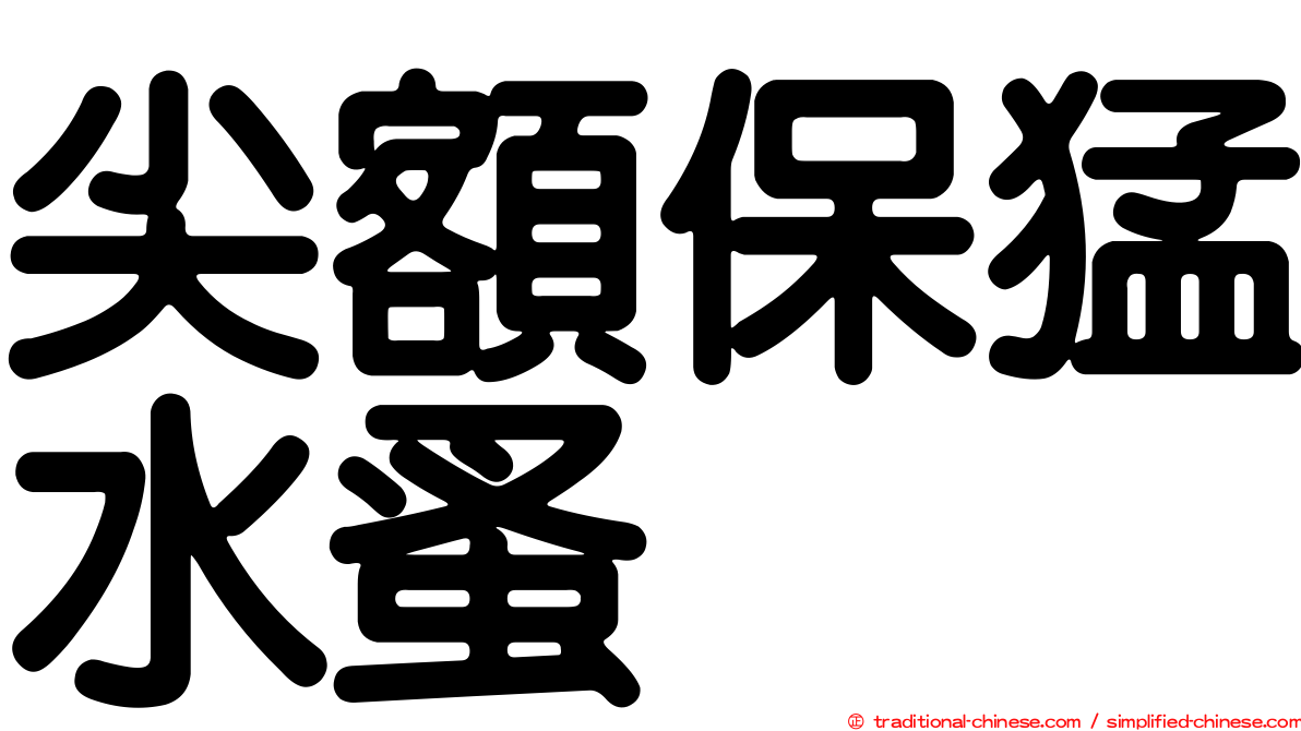 尖額保猛水蚤