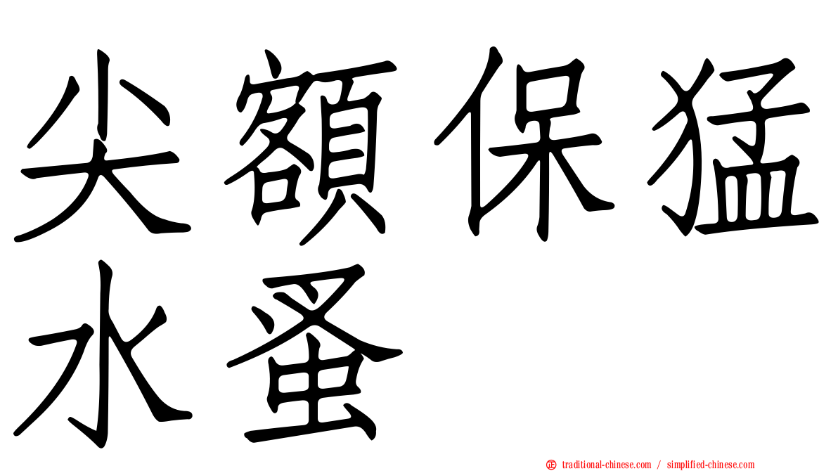 尖額保猛水蚤