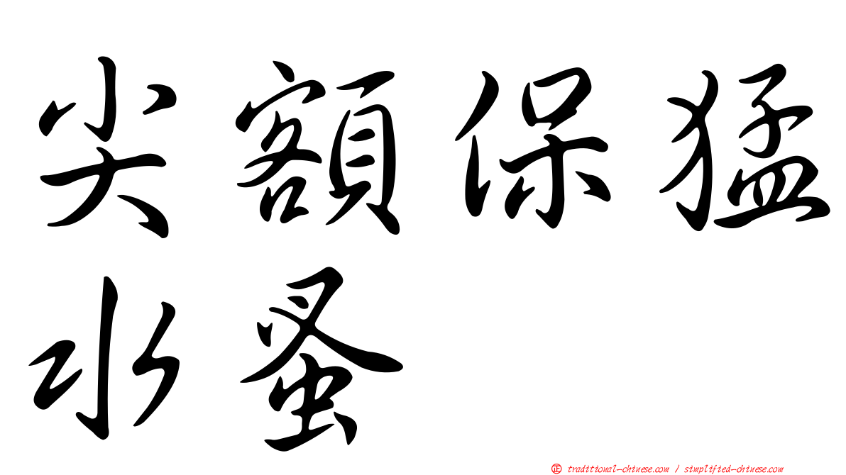 尖額保猛水蚤