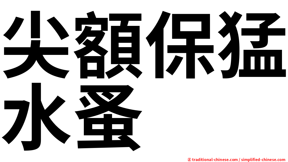 尖額保猛水蚤