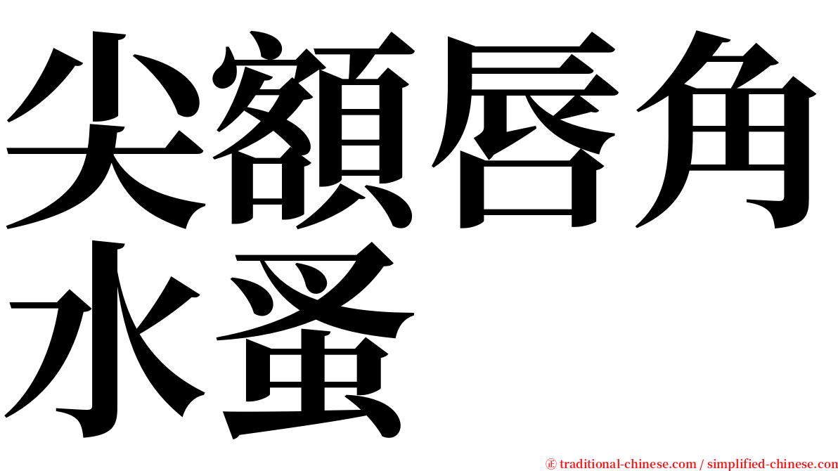 尖額唇角水蚤 serif font