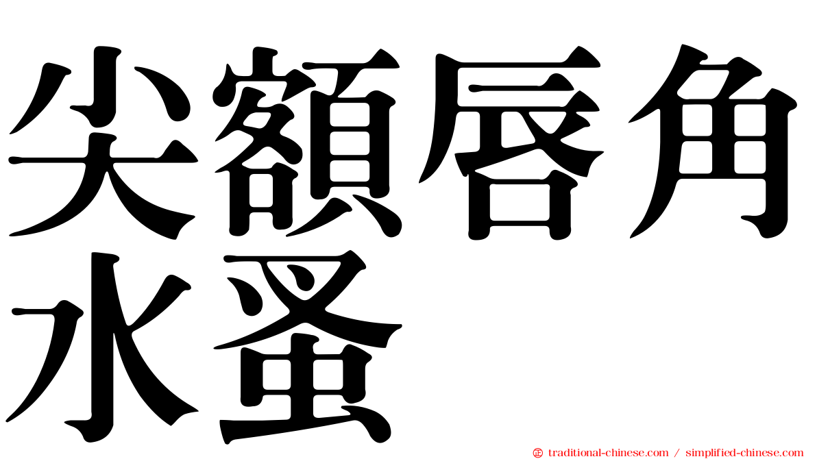 尖額唇角水蚤