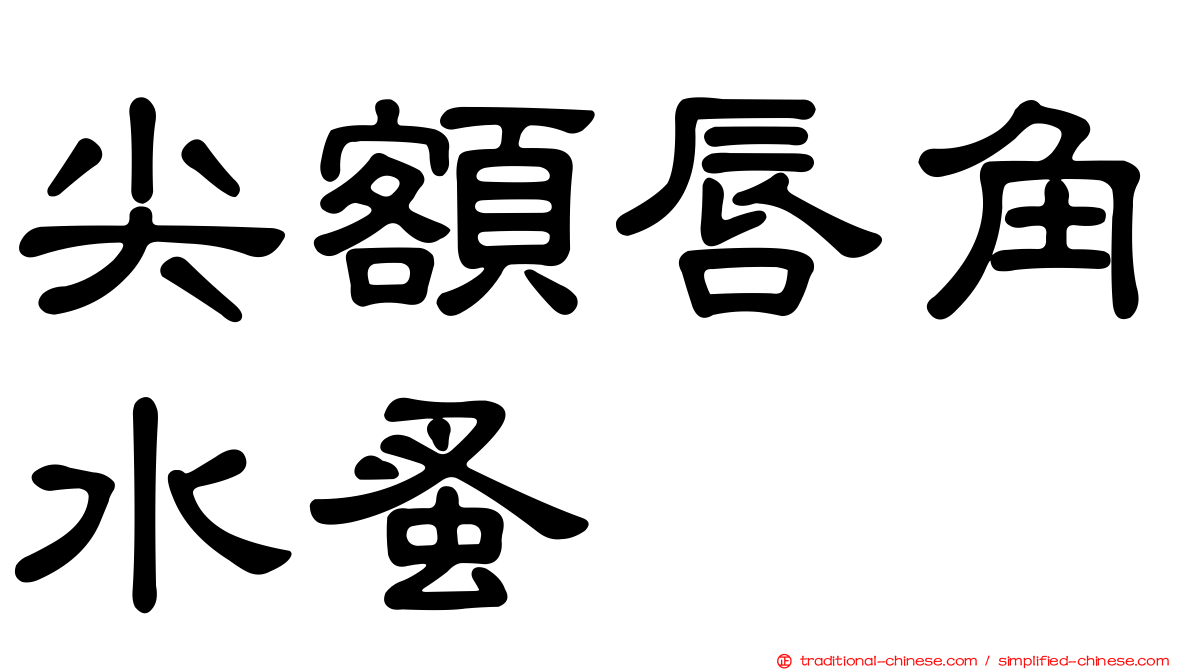 尖額唇角水蚤