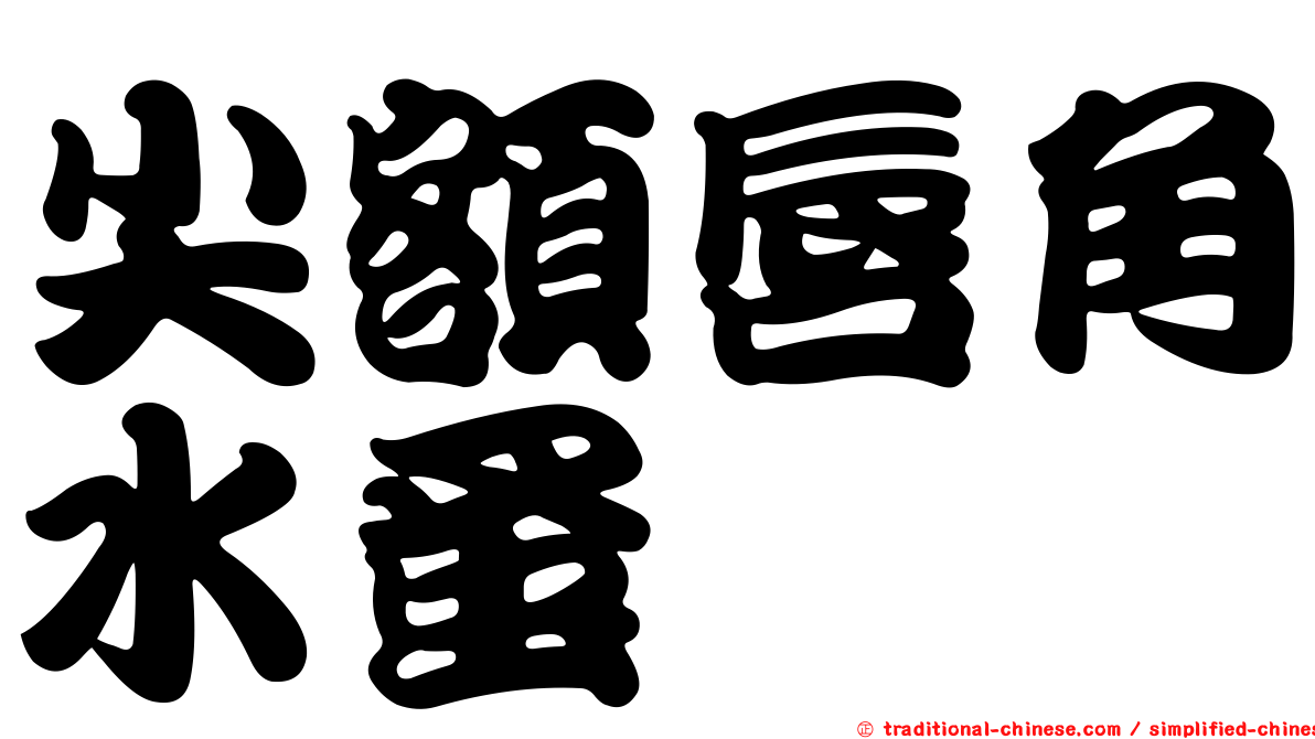 尖額唇角水蚤