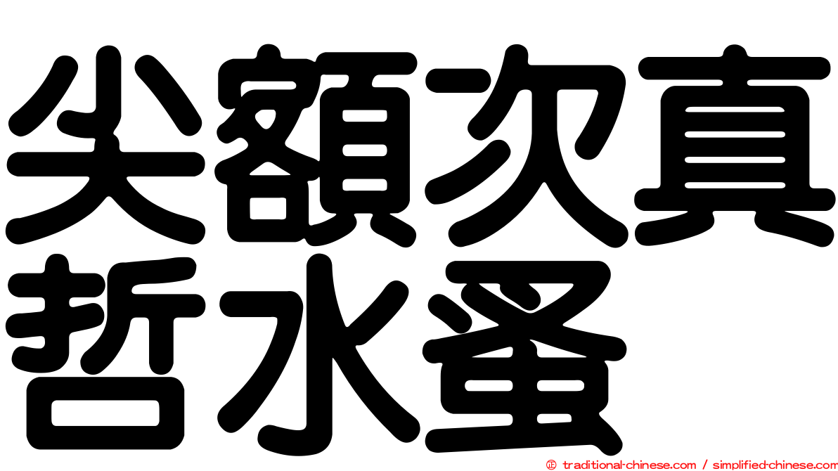 尖額次真哲水蚤
