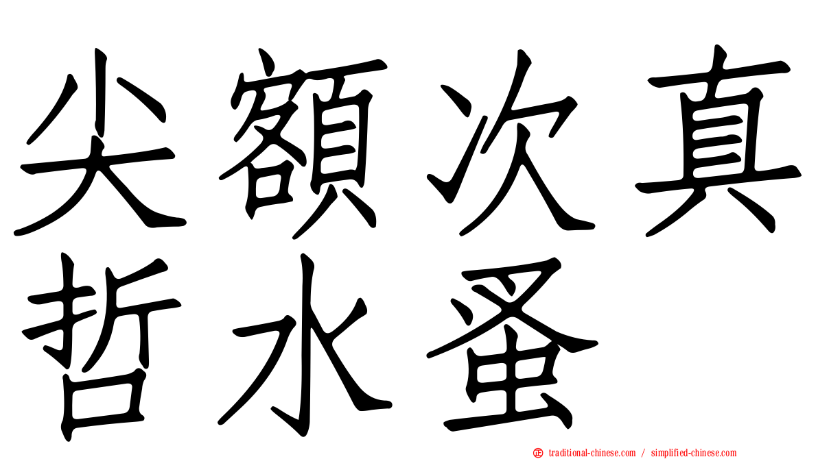 尖額次真哲水蚤