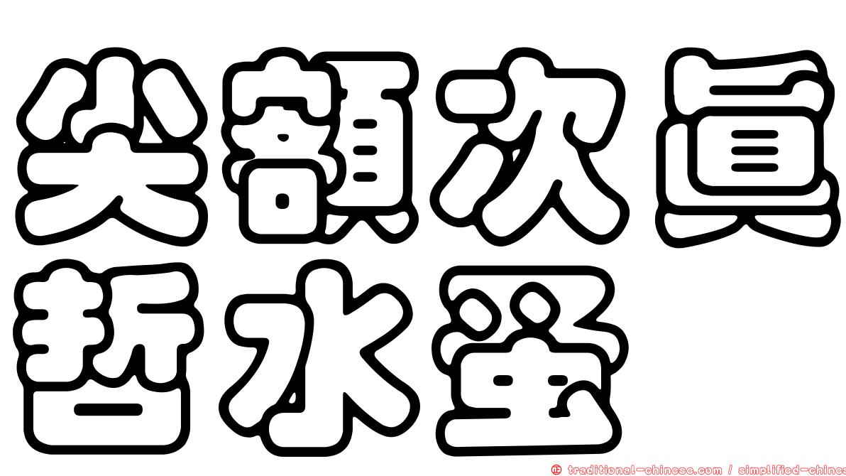 尖額次真哲水蚤