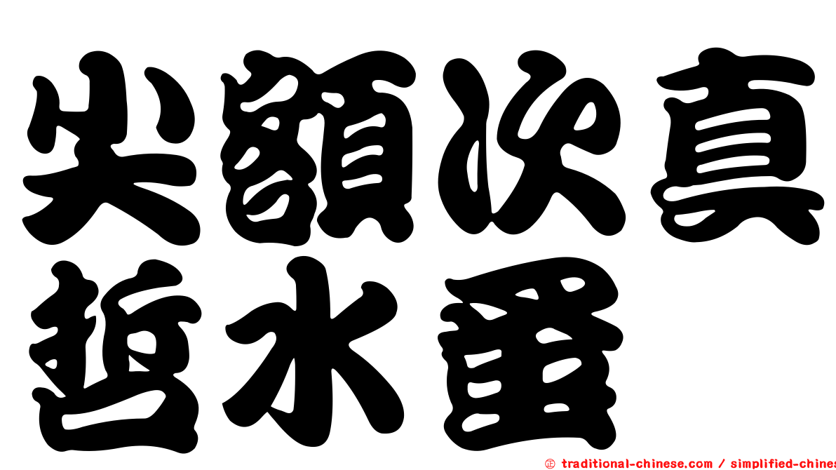 尖額次真哲水蚤