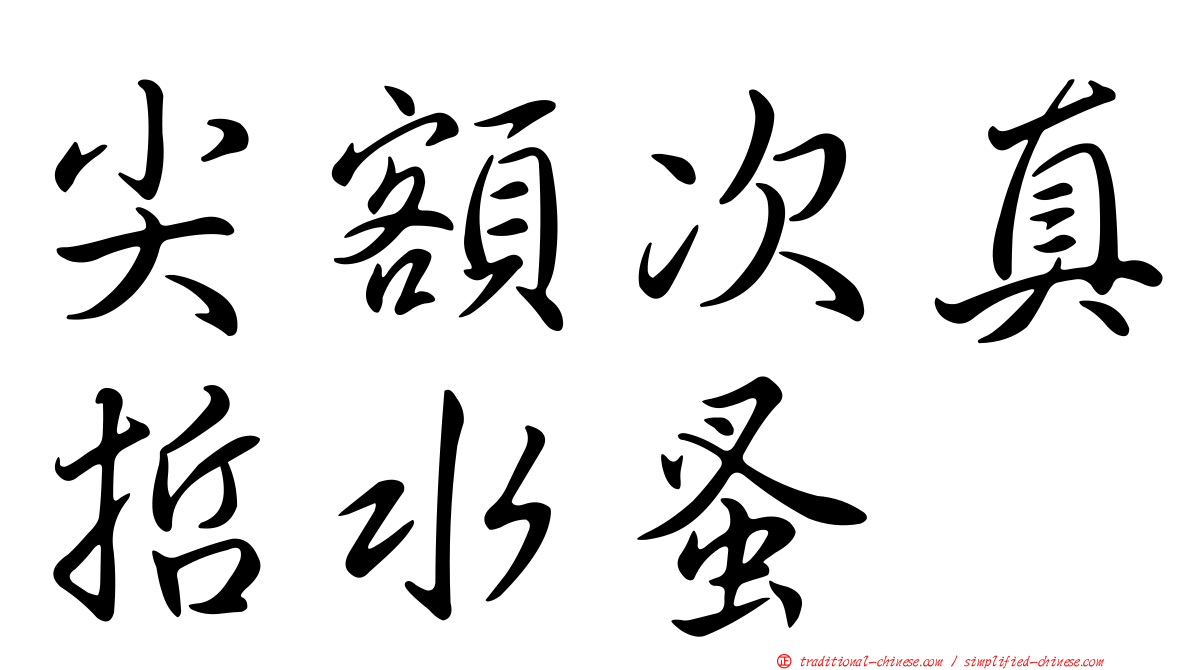 尖額次真哲水蚤