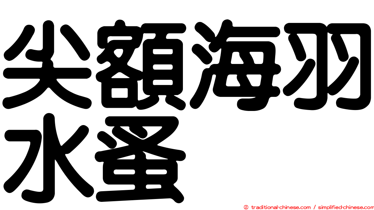 尖額海羽水蚤
