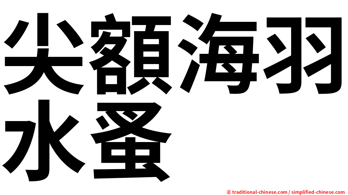 尖額海羽水蚤