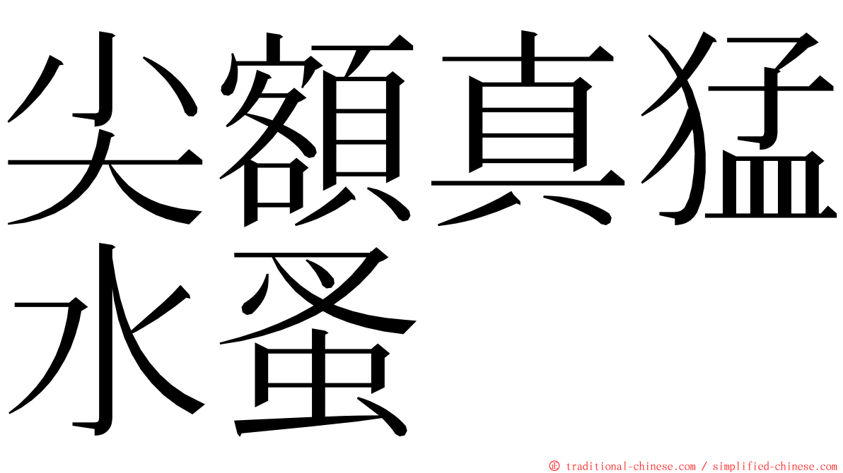 尖額真猛水蚤 ming font