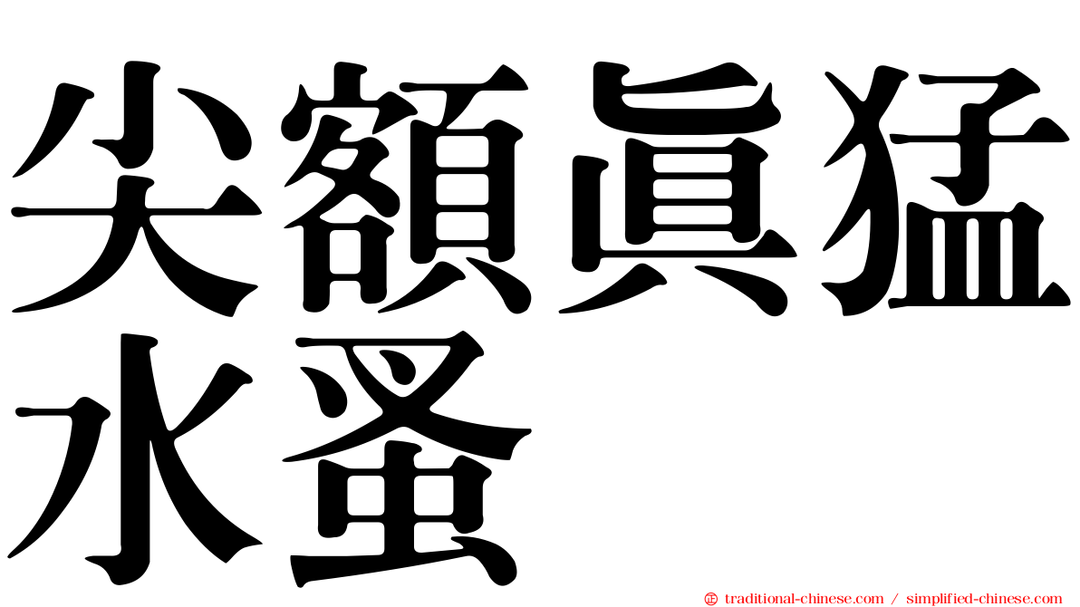 尖額真猛水蚤