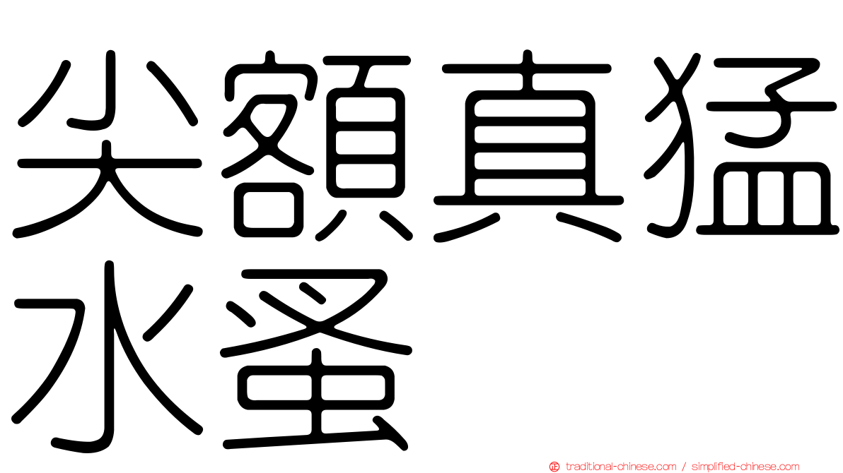 尖額真猛水蚤