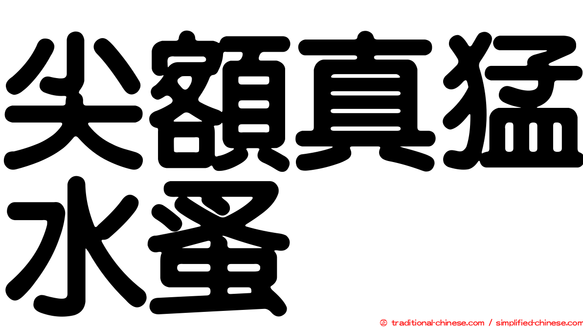 尖額真猛水蚤
