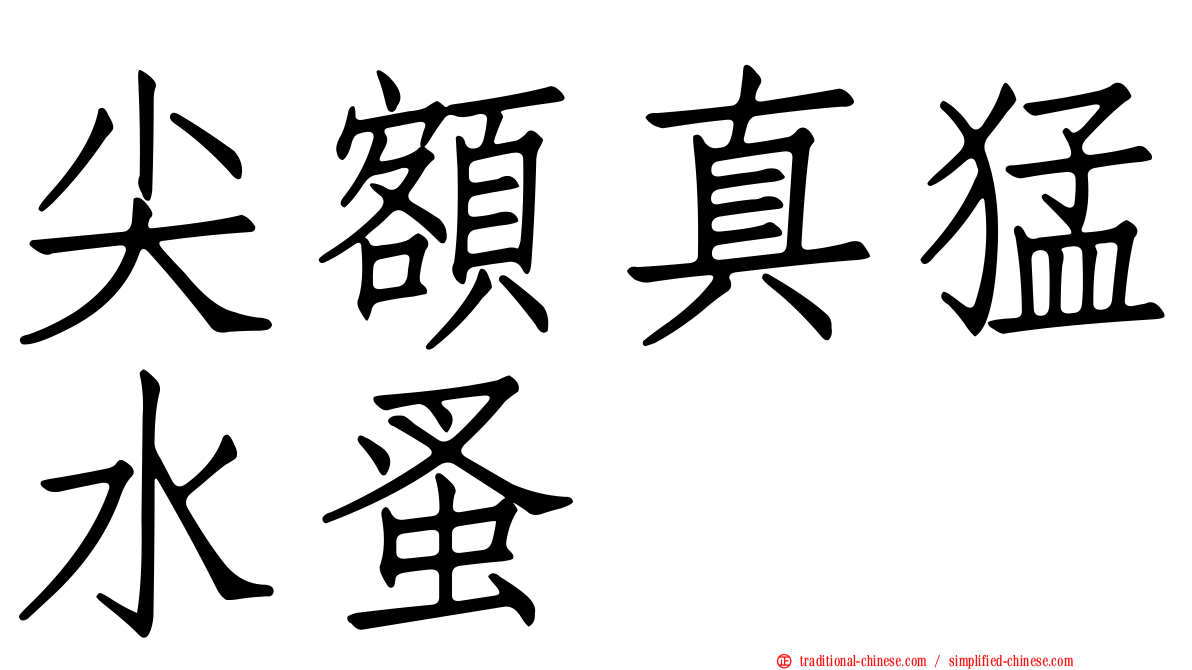 尖額真猛水蚤