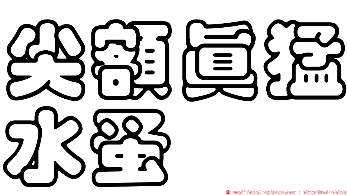 尖額真猛水蚤